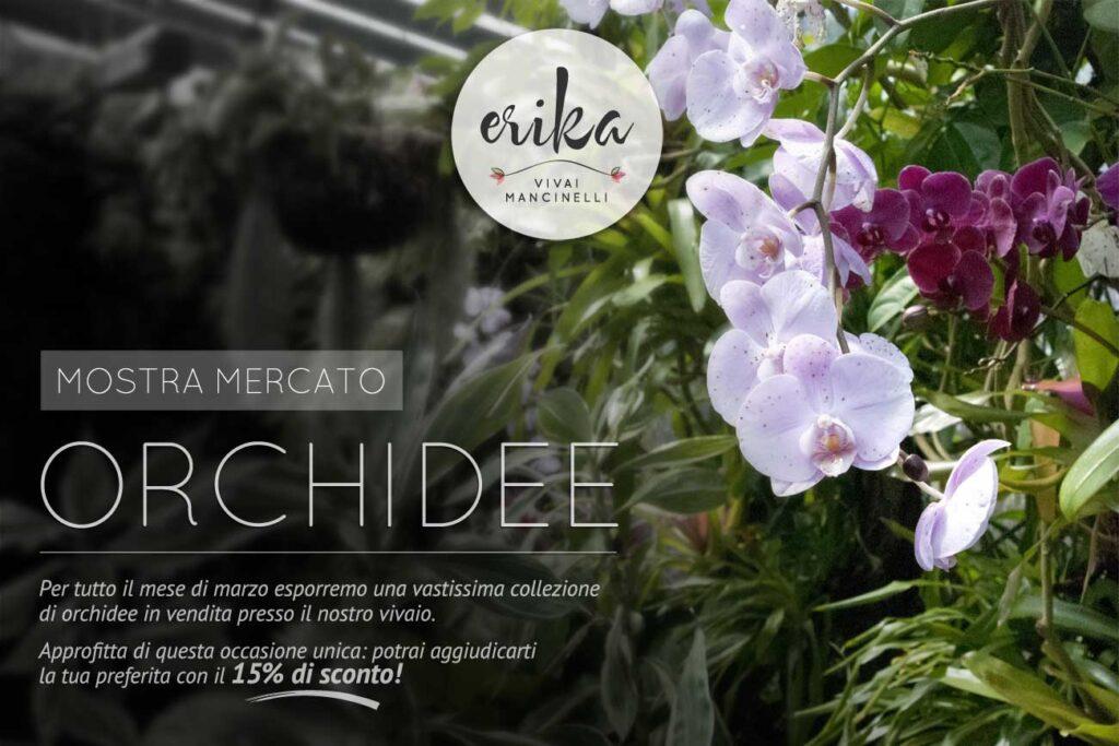 ORCHIDEE•Mostra mercato